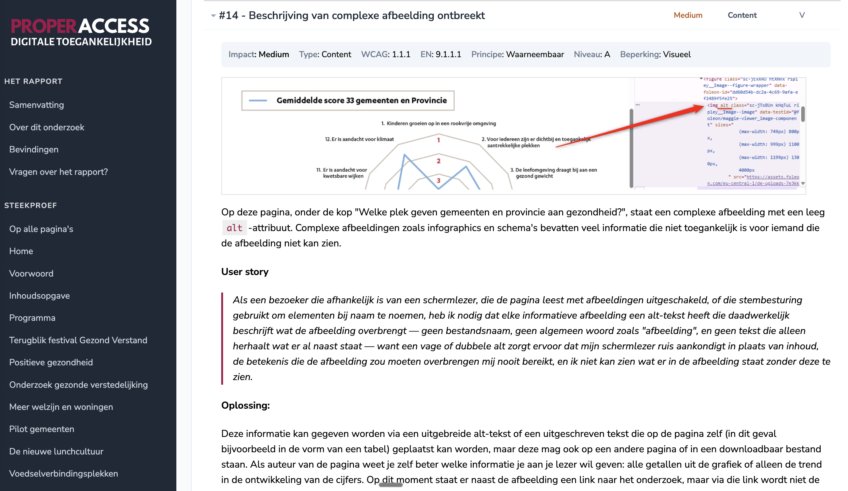 Bevinding over een complexe afbeelding zonder alternatieve beschrijving, met user story, code-snippet en screenshot van een infographic